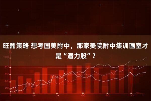 旺鼎策略 想考国美附中，那家美院附中集训画室才是“潜力股”？